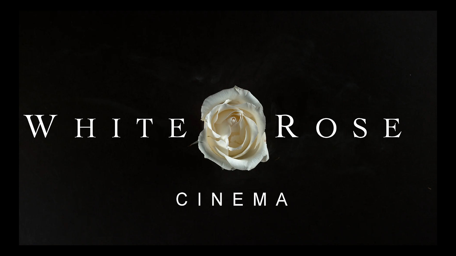 WHITE ROSE CINEMA GALLERY